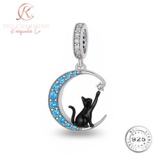 Charm gatto nero nella luna