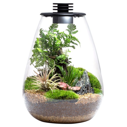 Bioloark bio bottle - bioloark,
