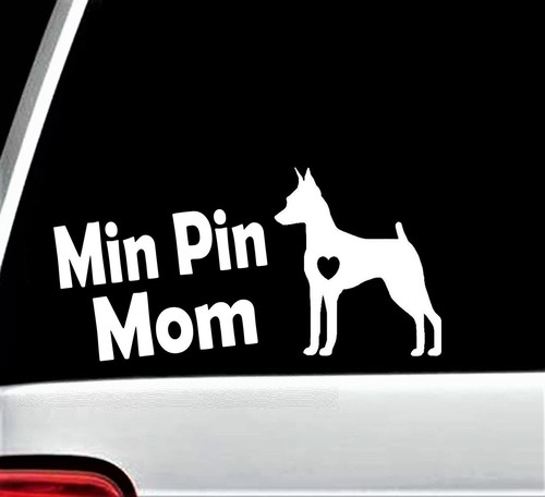 Min pin mamma miniatura - min,
