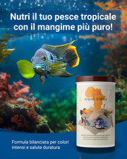 Mangime scaglie per pesci - mangime, in