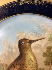 Antica Piatto IN Porcellana Dipinti con Decorazione Beccaccia. Caccia Sèvres?