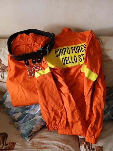 Tuta aib corpo - forestale, dello