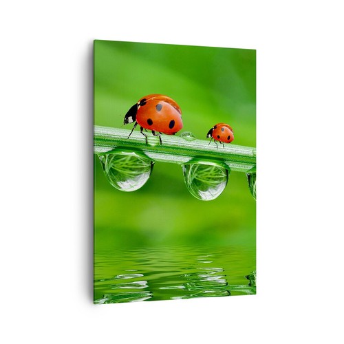 Quadro tela 70x100cm - su,