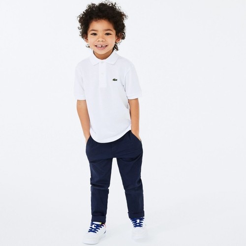Polo lacoste piquè regular - lacoste,
