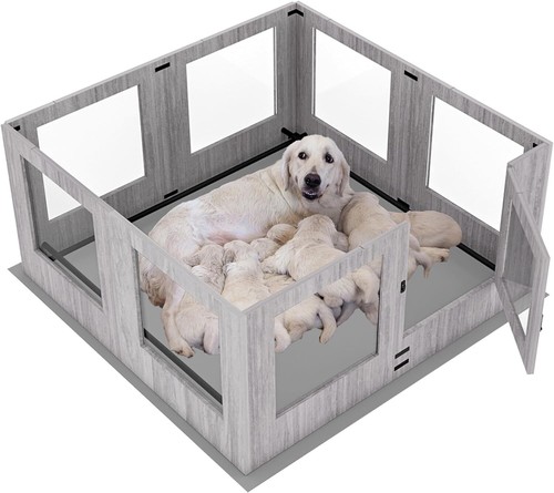 Box legno per cani di - box,
