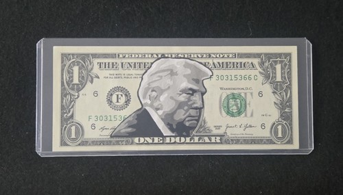 Donaldtrump potus dipinto a - potus.,