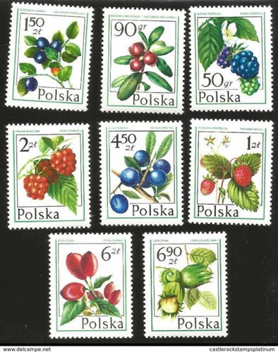 1977 polonia frutti di - polonia,,