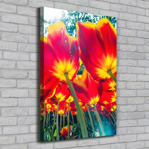 Tulup dipinto tela pittura - dipinto, su