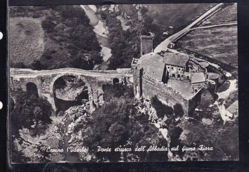 Cartolina canino ponte etrusco - cartolina,