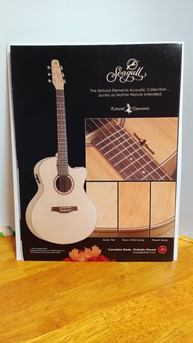 Chitarra acustica gabbiano - chitarra,