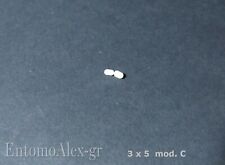 ancoretta magnetica PTFE