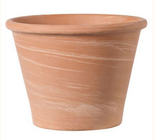 VASO DEROMA IN TERRACOTTA
