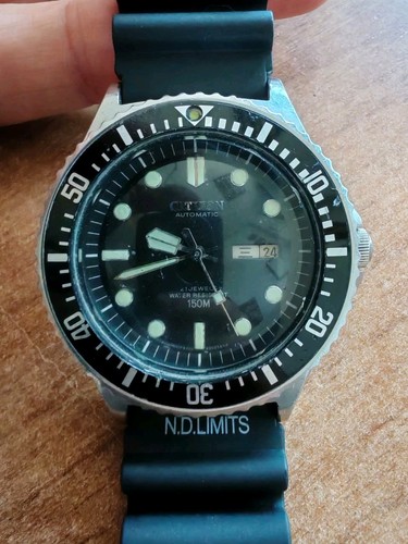 Citizen big paddle diver - big,