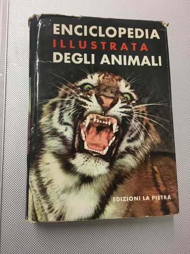 Libro enciclopedia illustrata - enciclopedia,