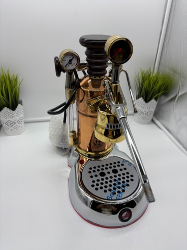 Pavoni esperto edotto - pavoni,