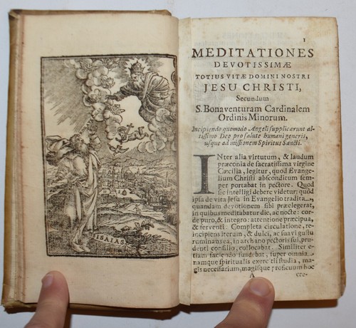 San bonaventura fig - bonaventura, –