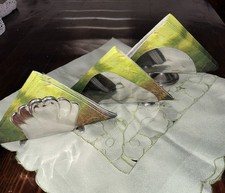 PORTATOVAGLIOLI VERTICALE Bar e Ristorante in ACCIAIO inox 18/10 USATI -30 Pezzi