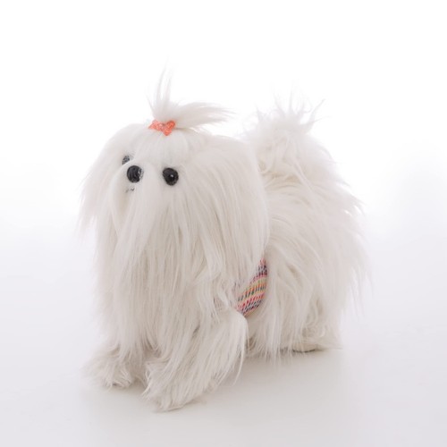 Mate pollici shih - cu-mate,