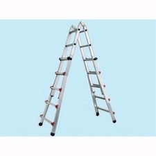 Scala Step Up telescopica