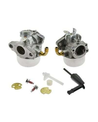 Briggs stratton carburatore - briggs,