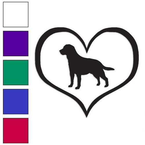 Cuore labrador retriever - retriever, cane