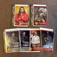 Yota Tsuji Japan Pro Wrestling