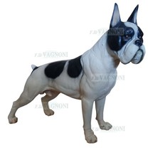 Statua cane Boxer decorazione