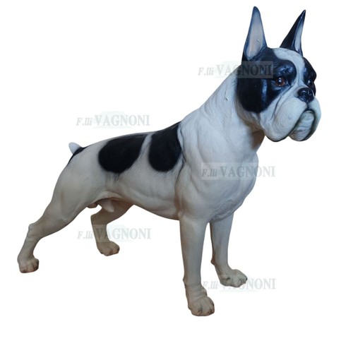 Statua cane boxer - statua,