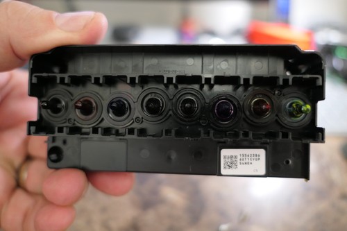 Testina stampa oem epson - testina,