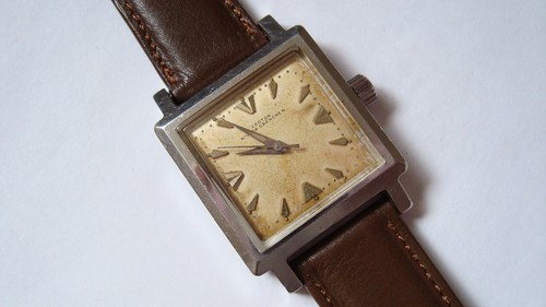 Vintage croton nivada - ,