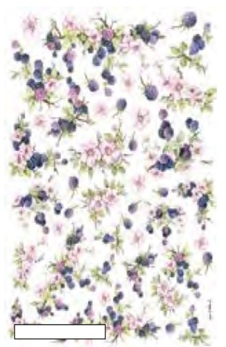 Calambour foglio di carta - calambour,