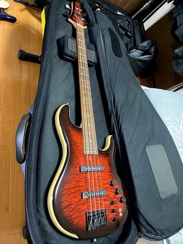 Dragonfly custom chitarra - dragonfly,
