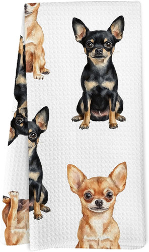 Chihuahua dog kitchen - chihuahua,