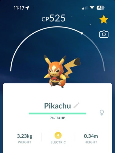 Pokemon pikachu libre - pikachu,