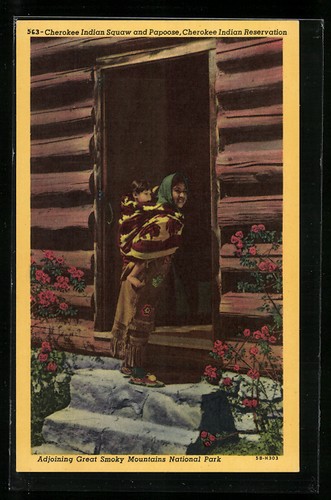 Cartolina artistica cherokee - cartolina,