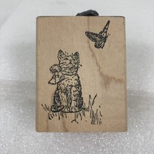 Gattino seduto gattino figa