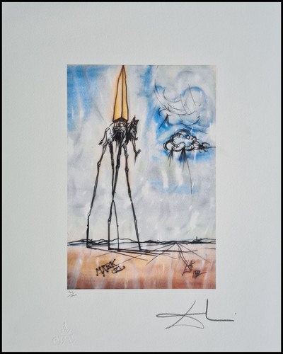 Salvador dali space - salvador, elefante