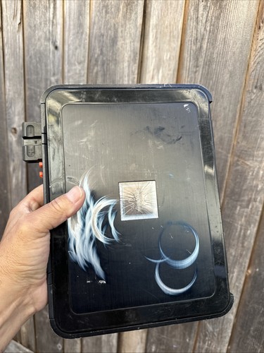 Alpine pdx amplificatore - pdx-v9,