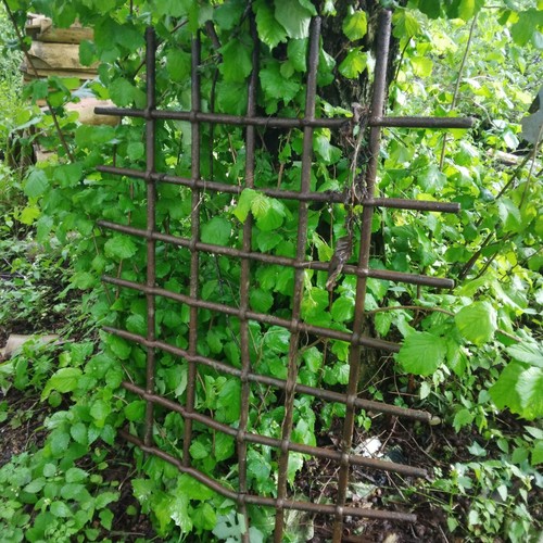 Antica grata ferro battuto - antica,