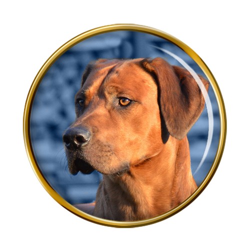 Rhodesian ridgeback distintivo - rhodesian,