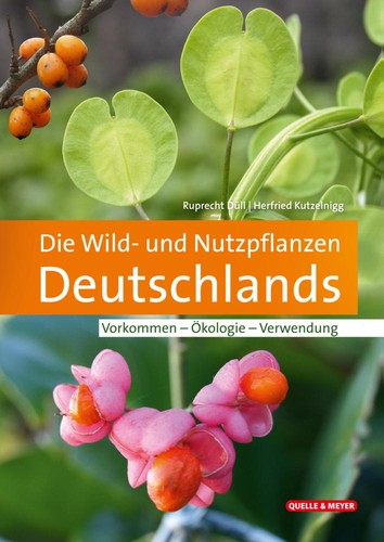 Ruprecht düll die - düll, wild-