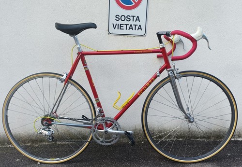 Bici scorza competizione - scorza,