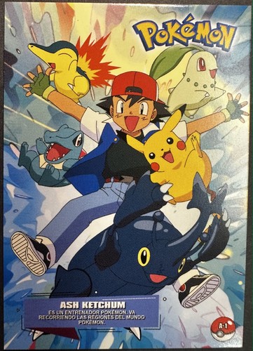 Pikachu ash heracross - ash, x