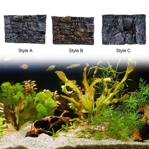 Sfondo per acquario con roccia