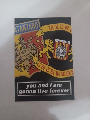 Ultras catanzaro adesivo - ultras, adesivo.