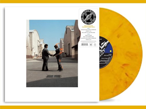 Pink floyd wish you - "wish, were