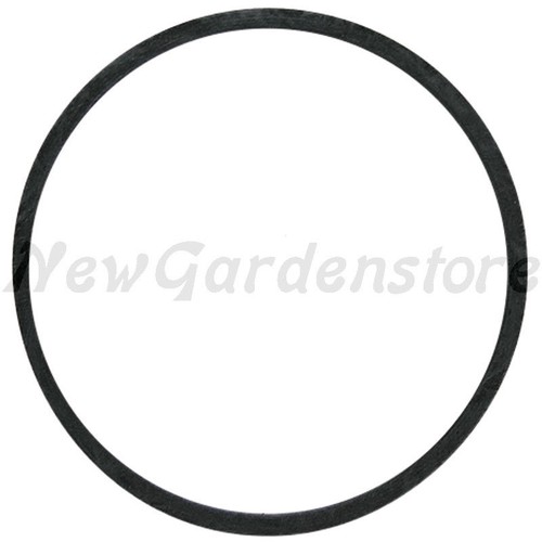 Guarnizione carburatore
