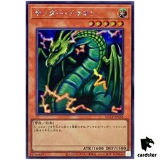 Drago Tuono QCCP-JP168 Segreto