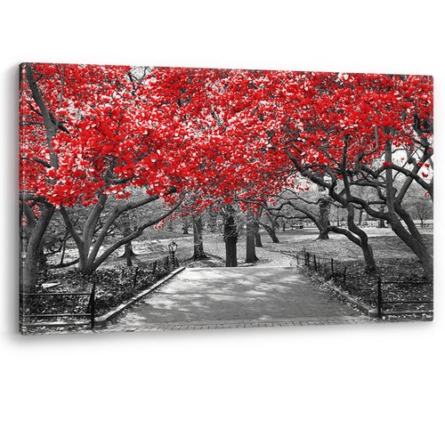 Alberi rossi central - alberi,