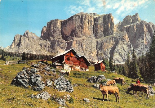 Cartolina dolomiti gruppo - cartolina,